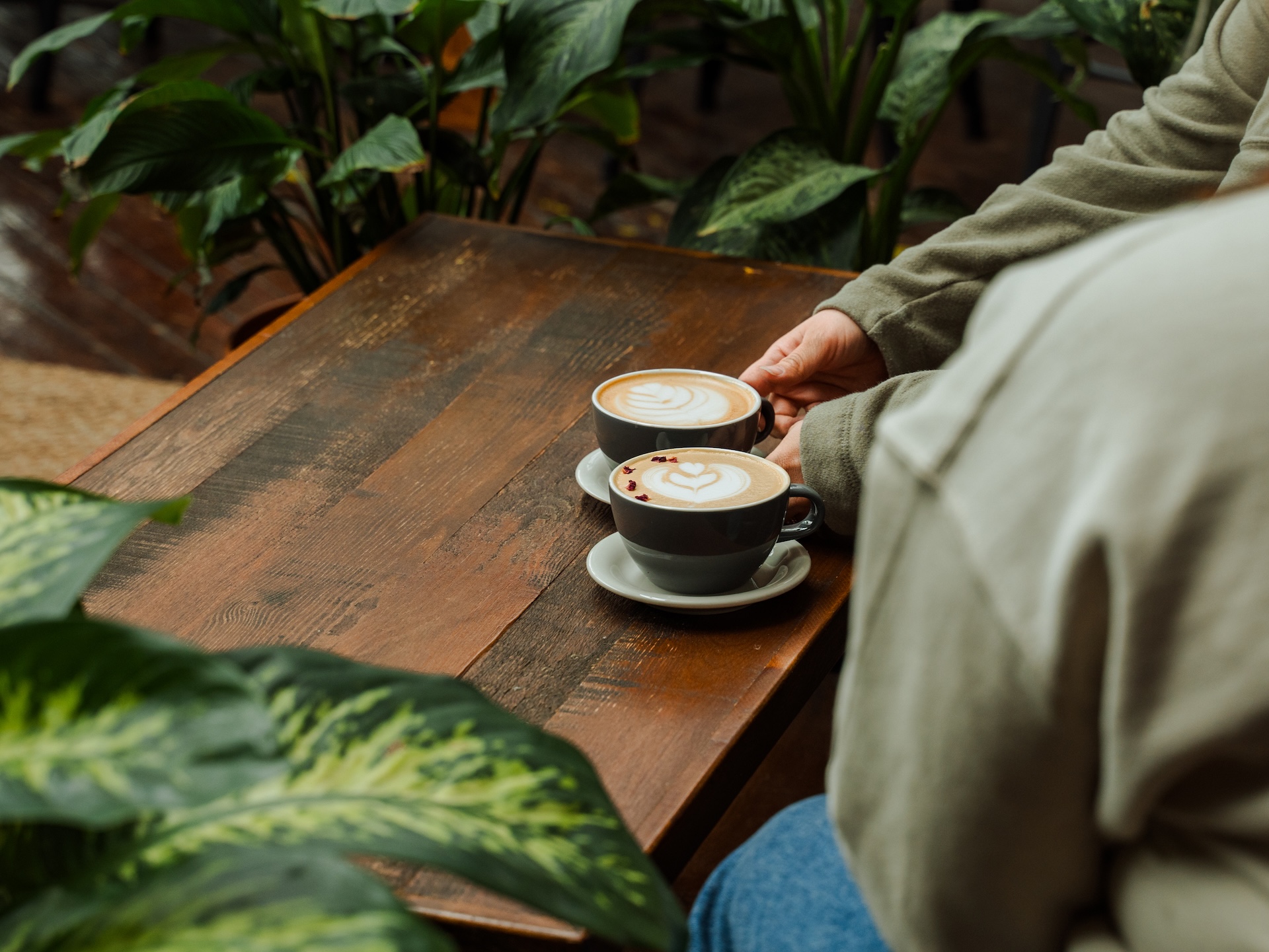 Latte art coffee drinks at Earth Coffeehouse